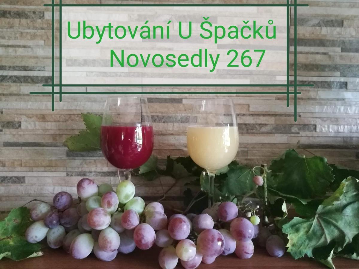 Novosedly  Ubytovani U Spacku Palava מראה חיצוני תמונה